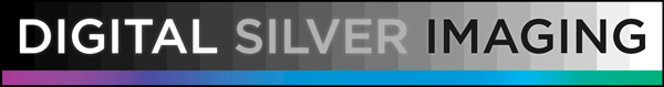 Digital Silver Imaging Logo